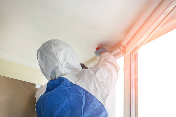 Jenkintown, PA Mold Inspection Company